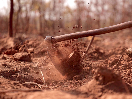 땅을 파는 아이