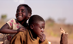 메인 갤러리 썸내일