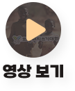 영상보기