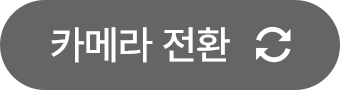 카메라 전환
