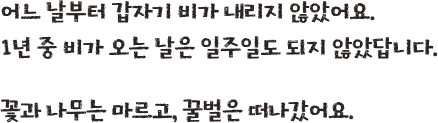 어느 날부터 갑자기 비가 내리지 않았어요.1년 중 비가 오는 날은 일주일도 되지 않았답니다.꽃과 나무는 마르고, 꿀벌은 떠나갔어요.